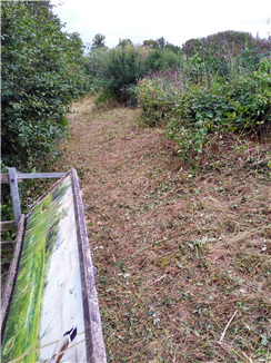 Finished cut showing some vegetation kept standing