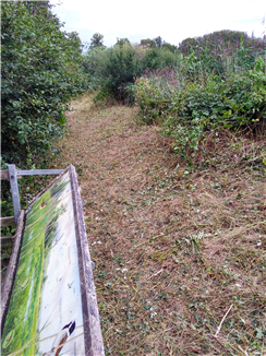 Finished cut showing some vegetation kept standing Finished cut showing some vegetation kept standing