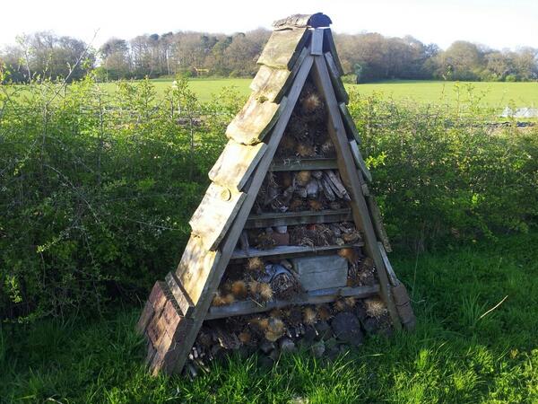Bug hotel at Bore Place