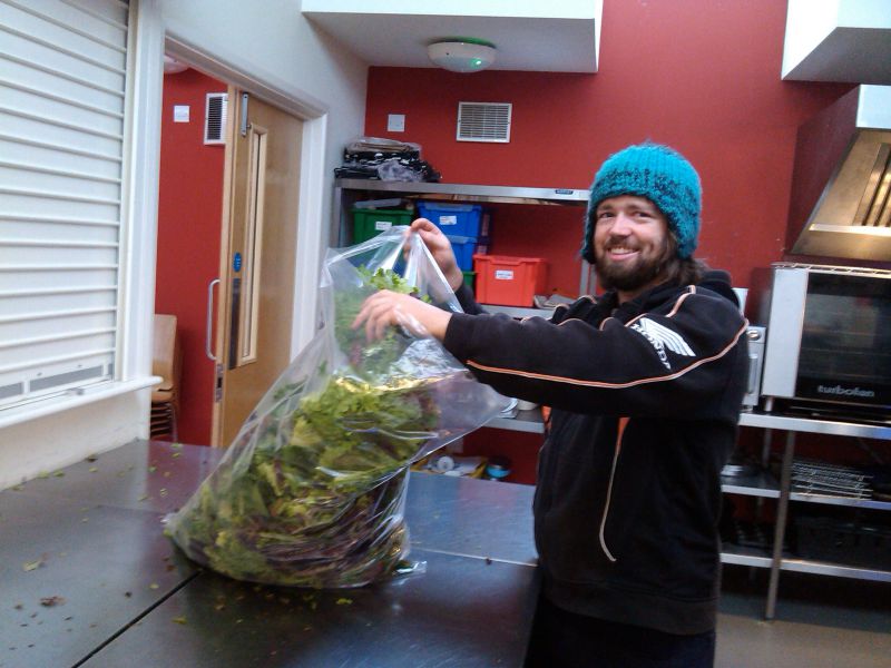 Grow to Grow staff packing salads for sale Grow to grow staff packing salad leaf for sale