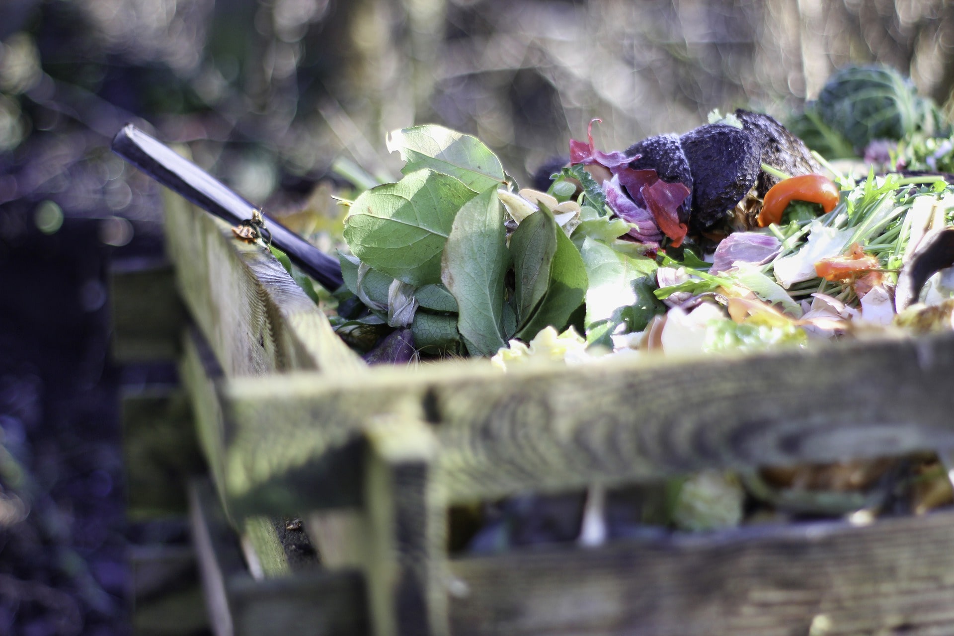 Compost Compost