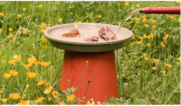 Homemade bird bath