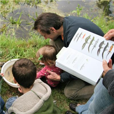 Newts at Bore Place