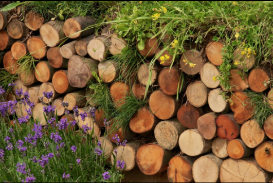 Log Pile Log Pile