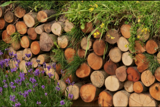 Log Pile