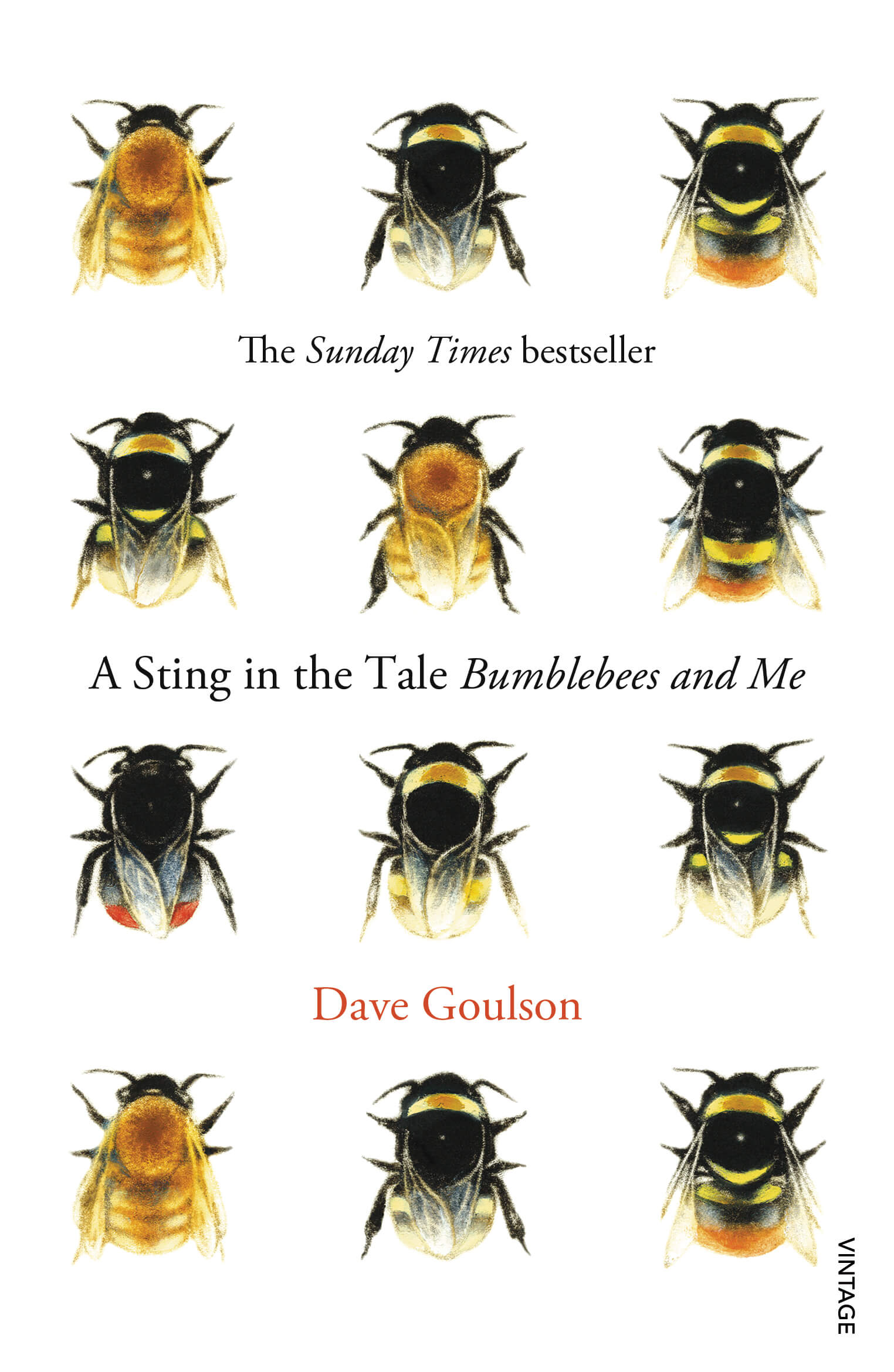 Book cover, A Sting in the Tale